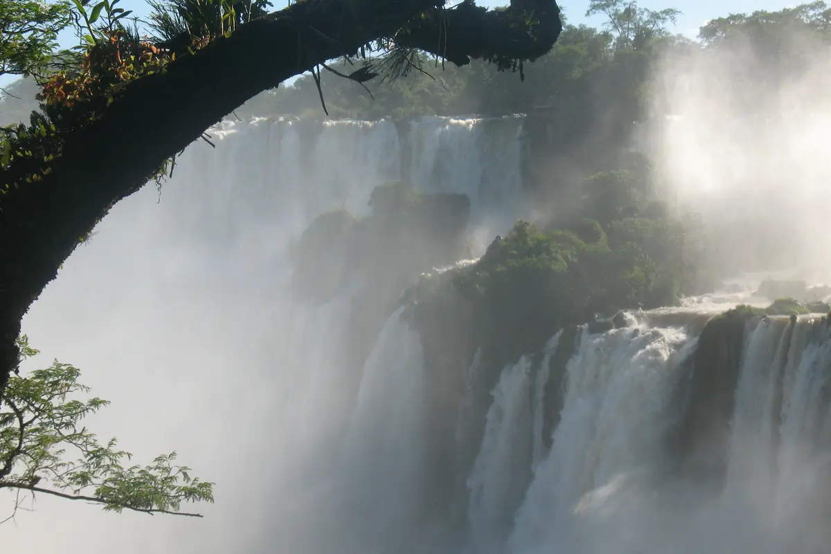 Iguazú Falls seen through spray and tree branches, with streams of white water over a green rock face